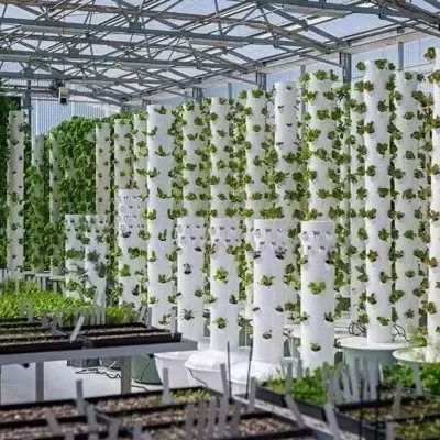 

Надежное ведро Smart Garden Гидропонная губка для гидропоники в саду в помещении Гидропоника