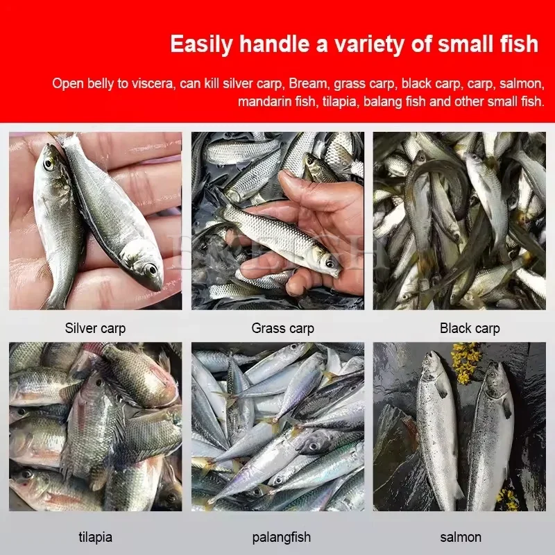 Factory Sales Of Small Fish Back Opening Machine, Stainless Steel Fish Killing Machine, Fish Intestine Removal Machine