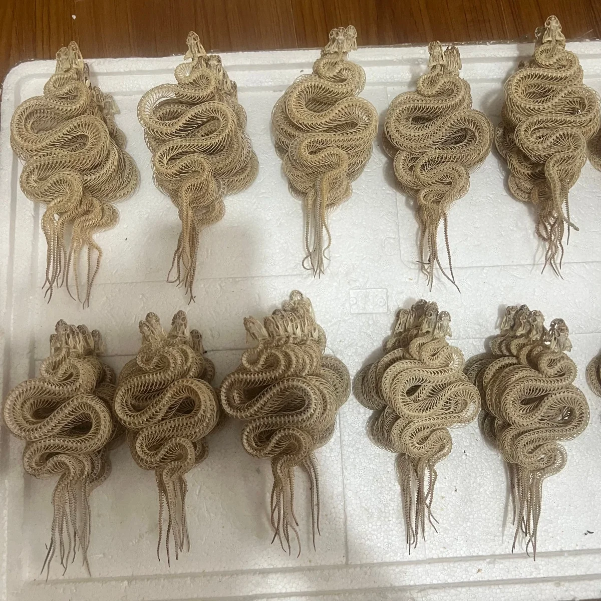 1-10 PCS Animal Taxidermy Real Snake Skeleton Skull Animal Bone Specimens