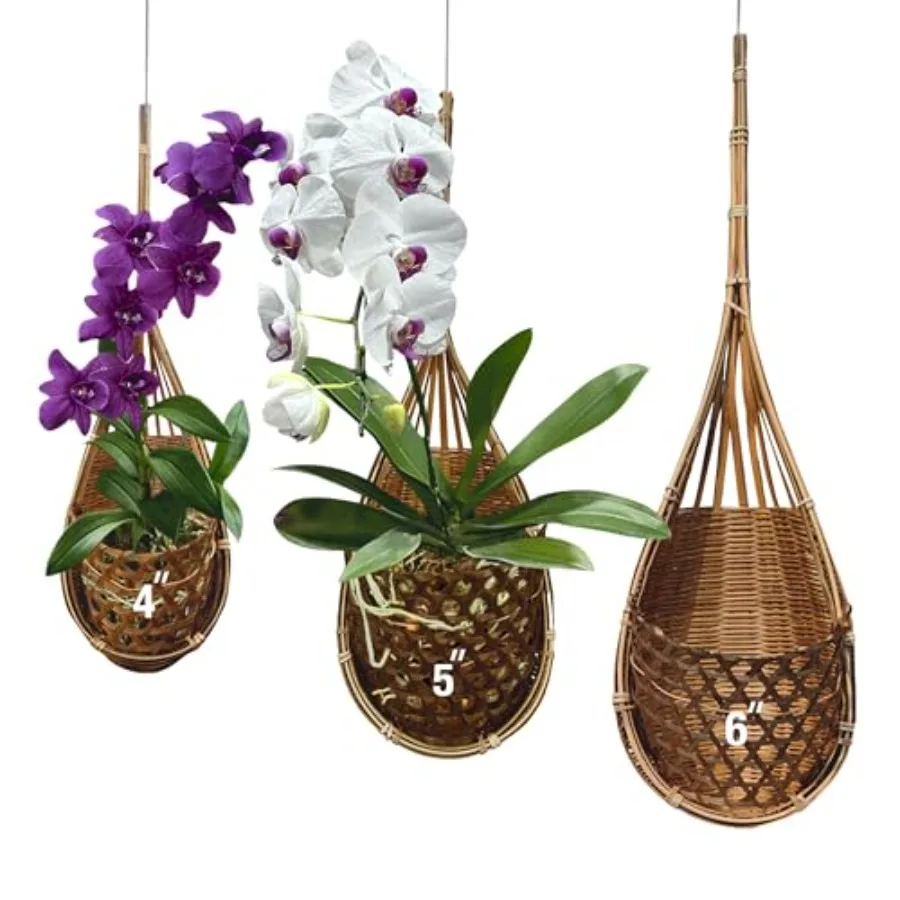 

Набор из 3-х подвесных корзин ручной работы из тайского бамбука для орхидей, 4, 5 и 6 дюймов, натуральный цвет, идеально подходит для демонстрации комнатных растений