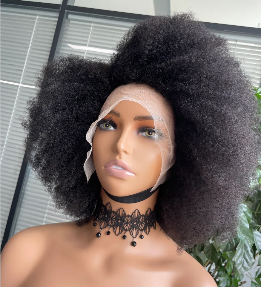 Afro Wig Human Hair Kinky Curly Bob Wig Lace Front Human Hair Wigs For Women 13x4x2 HD Lace Glueless Wig Pre Plucked 250 Density