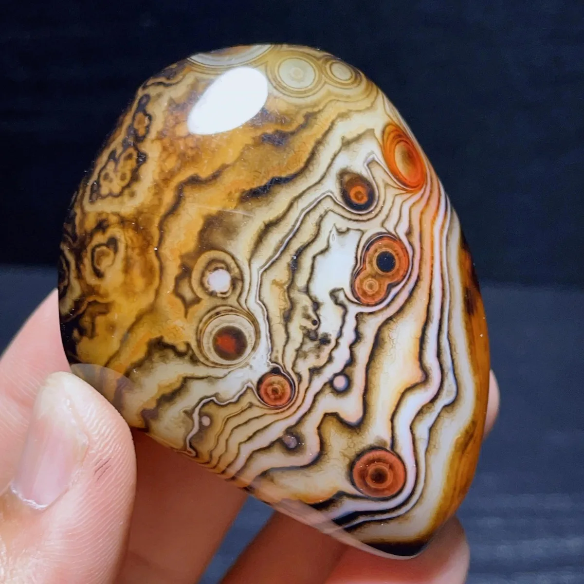 Desert Treasure Banded Agate Palm Stone, Polished Tumbled, Nature Made, Collector Gift, Natural Stone, Crystal Collection