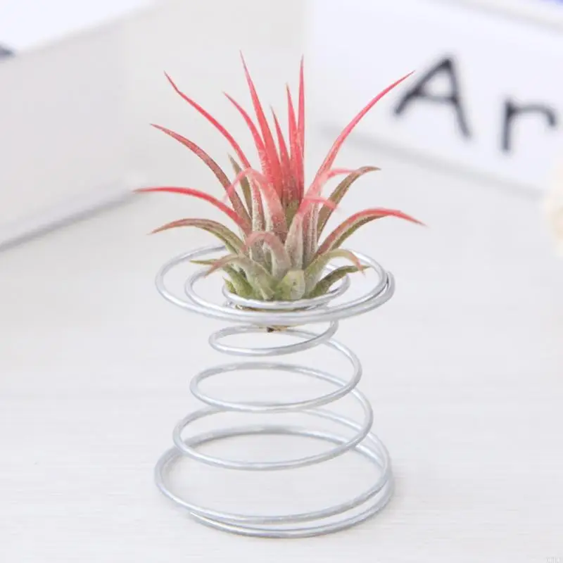 K3KD Air Plant ฤดูใบไม้ผลิลวดโต๊ะ Tillandsia ผู้ถือ Miniature ตกแต่งสวน