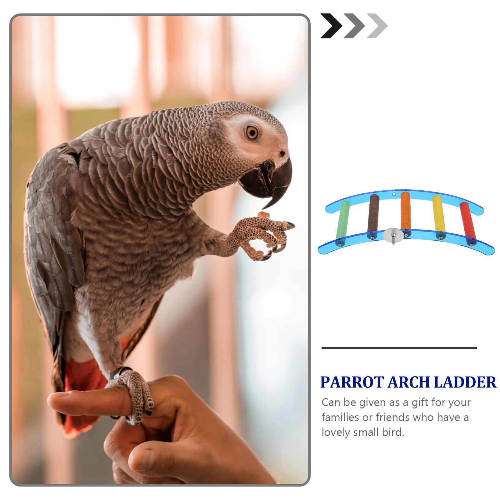 

1Pcs Parrot Ladder Stand Durable Acrylic Climbing Arch Suitable for Pet Birds Plaything Parrot Climbing Ladder