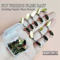 7Pcs-Box