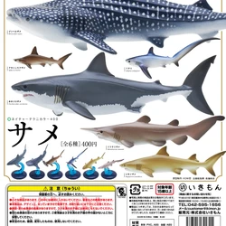 Japan NTC IKIMON Deep Sea Creatures Series Shark Whale Shark Great White Shark Ornament Gashapon Toys