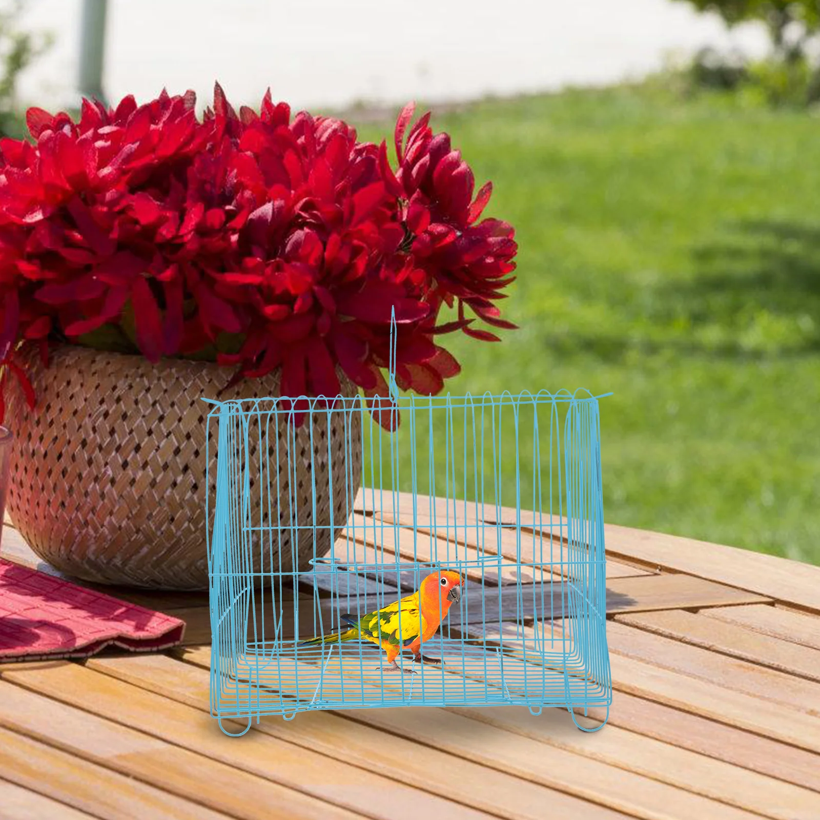 

Parrot Cage Bird Carrier for Travel Budgie Parakeet Portable Comfortable Pet Cage