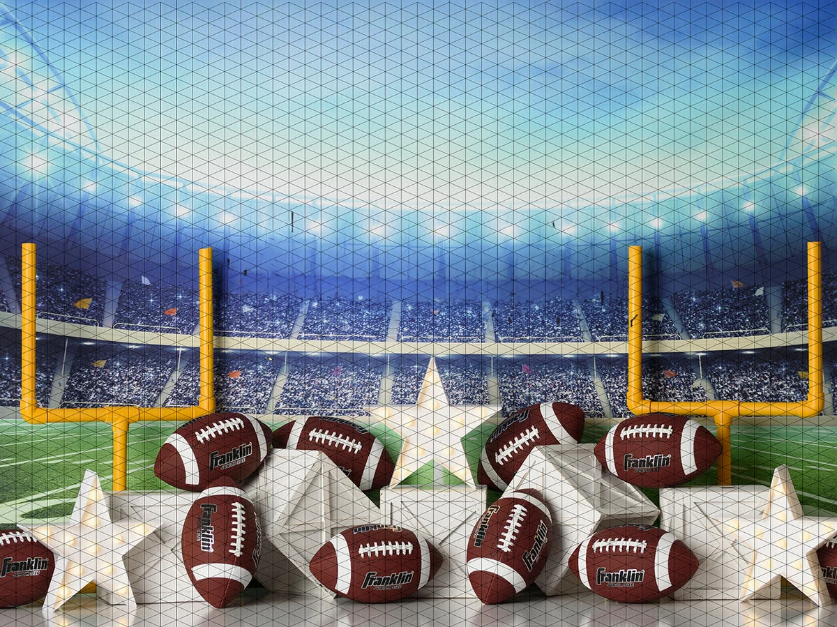 Johnson Football Star Sports Stadium backdrops High quality computer print party supplies Photography Studio Backgrounds