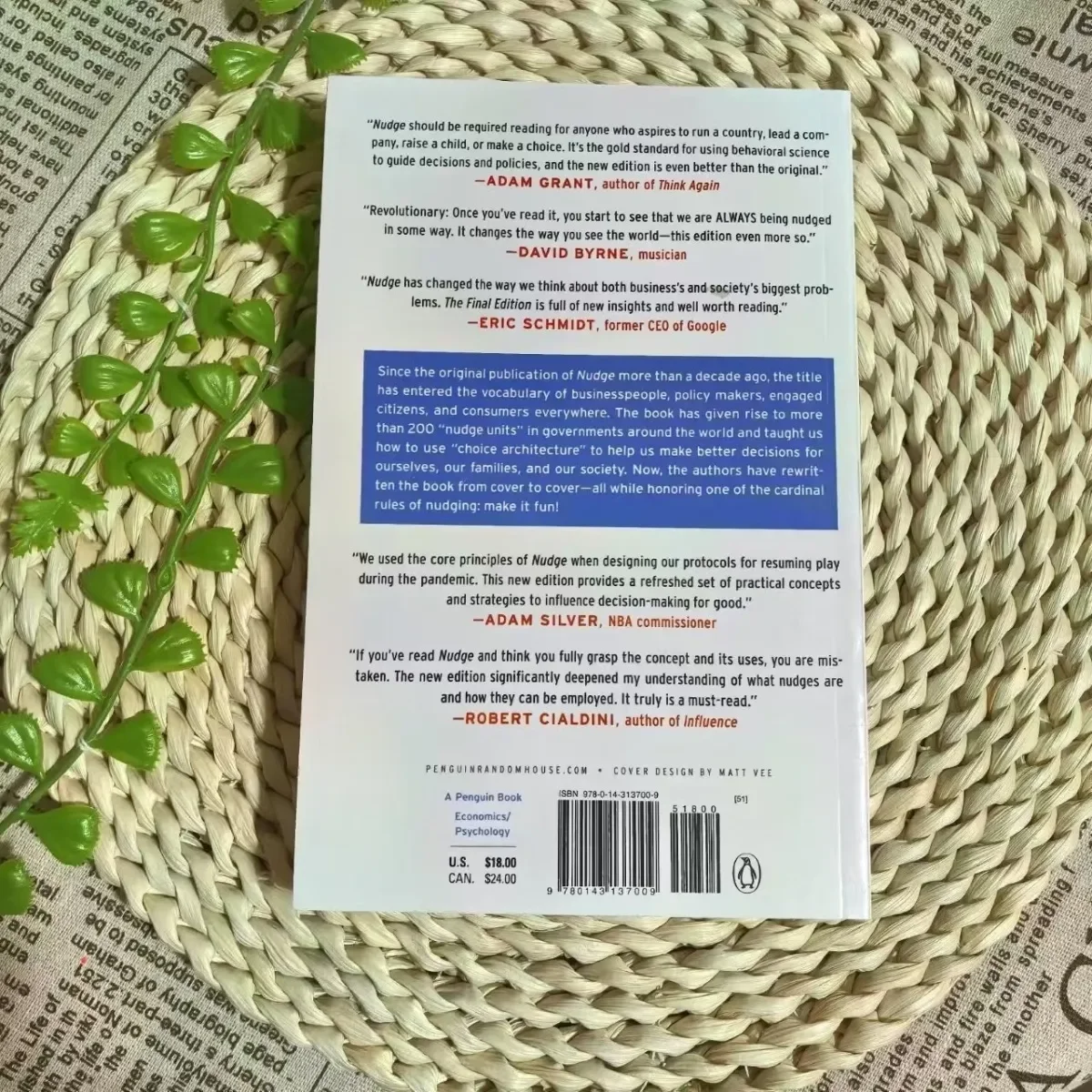 How Economics Changes Decision-making Processes Through Subtle Hints Leading Social Progress and Personal Growth