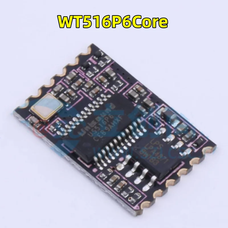 1-100 PCS/LOT New original WT516P6Core audio and video module speech recognition