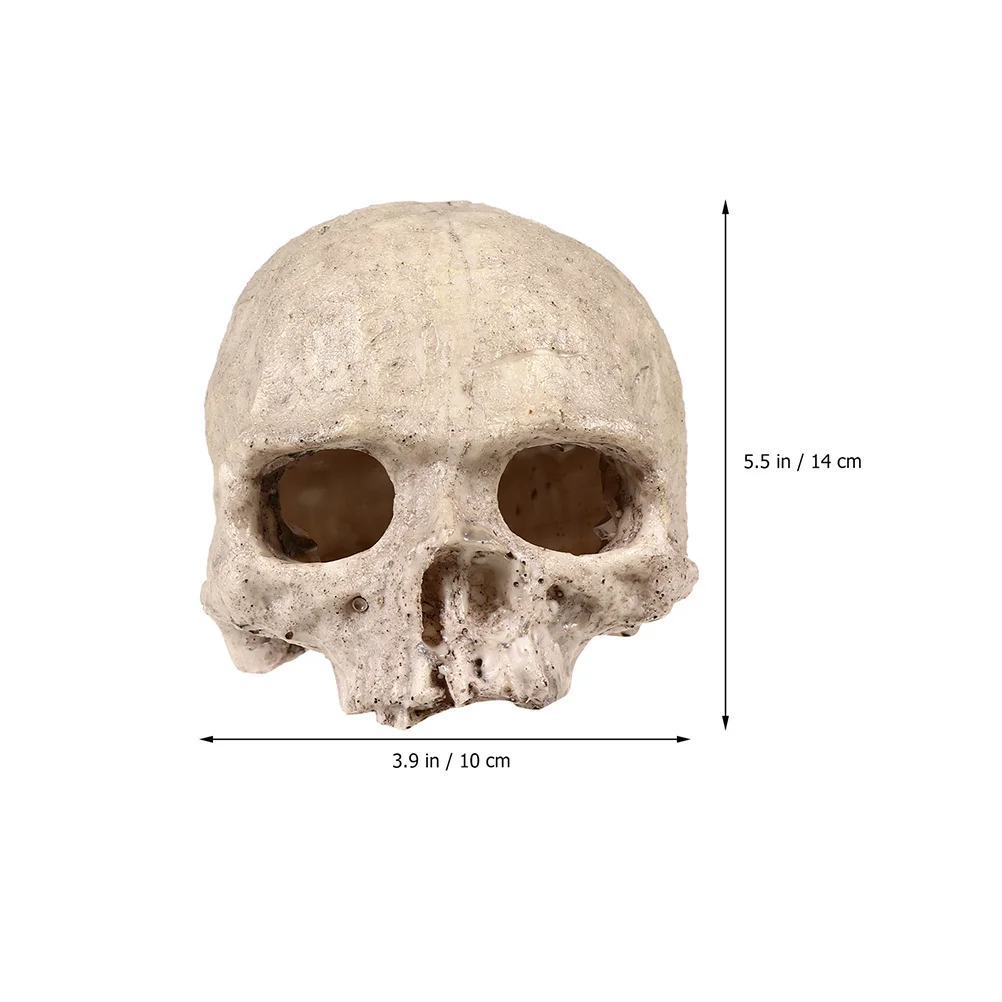 

Aquarium Skull Resin Durable House Cave Fish Tank Decoration Skull Ornament Fish Hideout Shrimp Shelter Underwater Decor