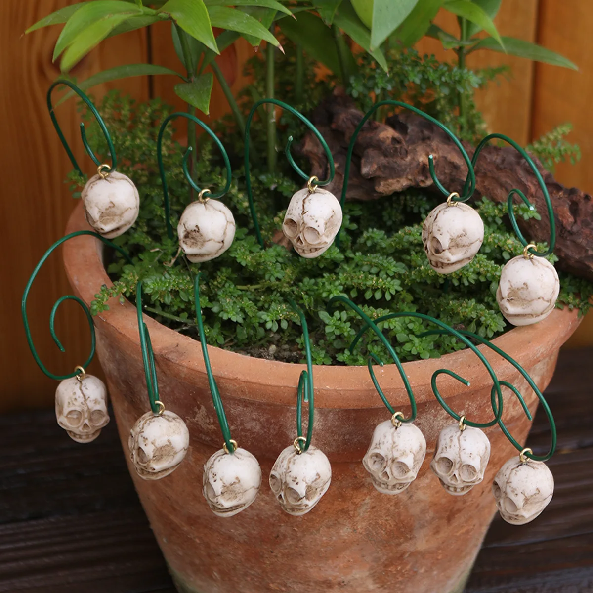 ‌12PCs Skull Flower Stakes - Halloween Garden Decor for Plants & Graveyard