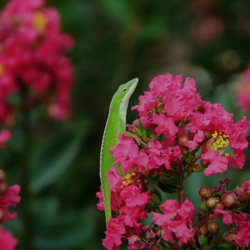

4 шт., 85*28 мм, 1,55 дюйма, мягкие резиновые шины для радиоуправляемого гусеничного автомобиля, осевые AX90069 D90 TF2 Tamiya CC01 LC70 MST JIMNY