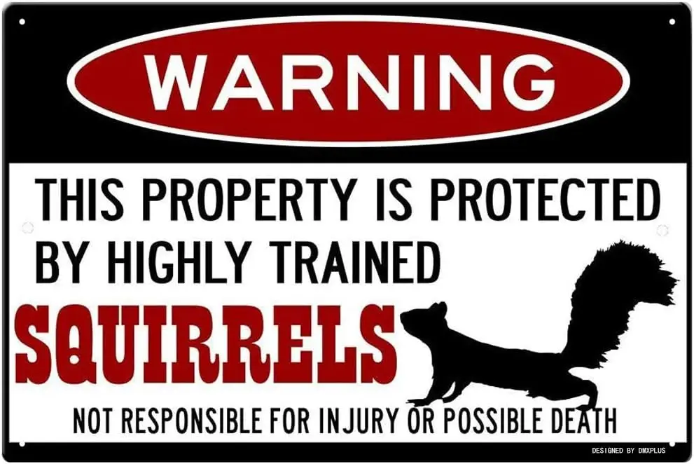 Squrrel Sgn,Funny Metal Sgns,Protected by Squrrels,Squrrels Warnng Sgn,Pet Squrrel,Beware of Squrrel Sgn Tn Sgn wall decor gft 5