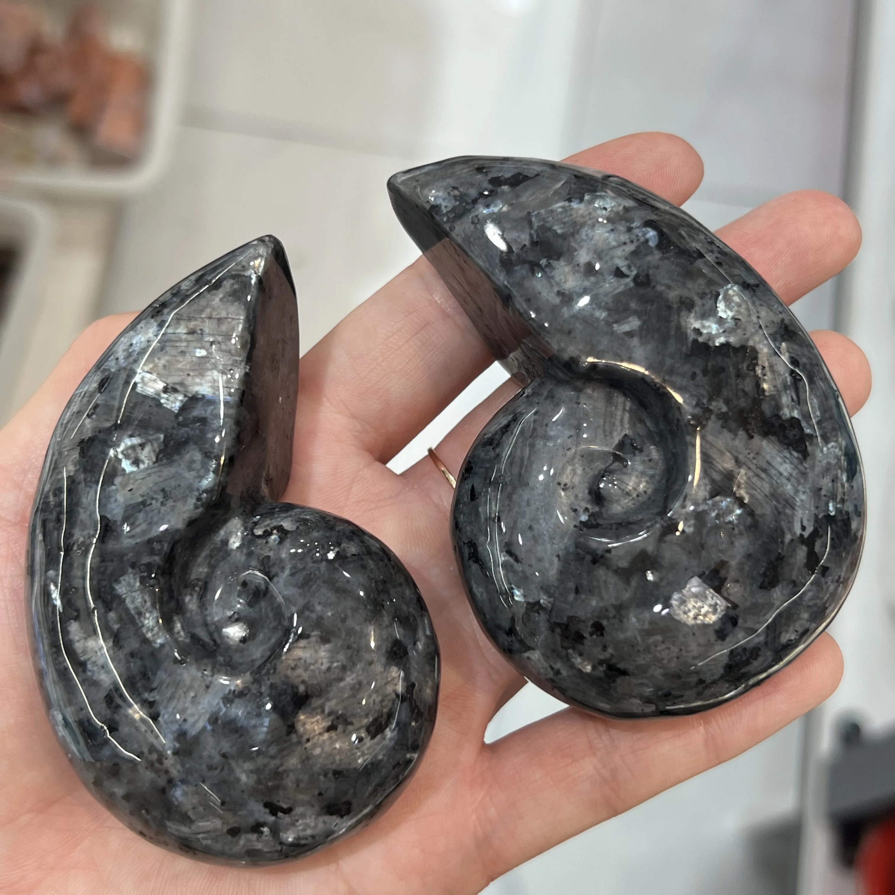 

Natural Firework Stone Snail Shape Crystal Astrophyllite Quartz Mineral Healing Home Decoration