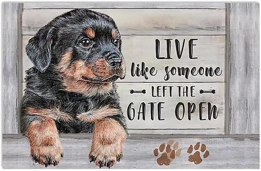 Metal Sign Dog Live Like Someone Left Gate Open Vintage Decoration Home Bathroom Bar Cafe Club Wall Decor Retro Funny Tin Sign -