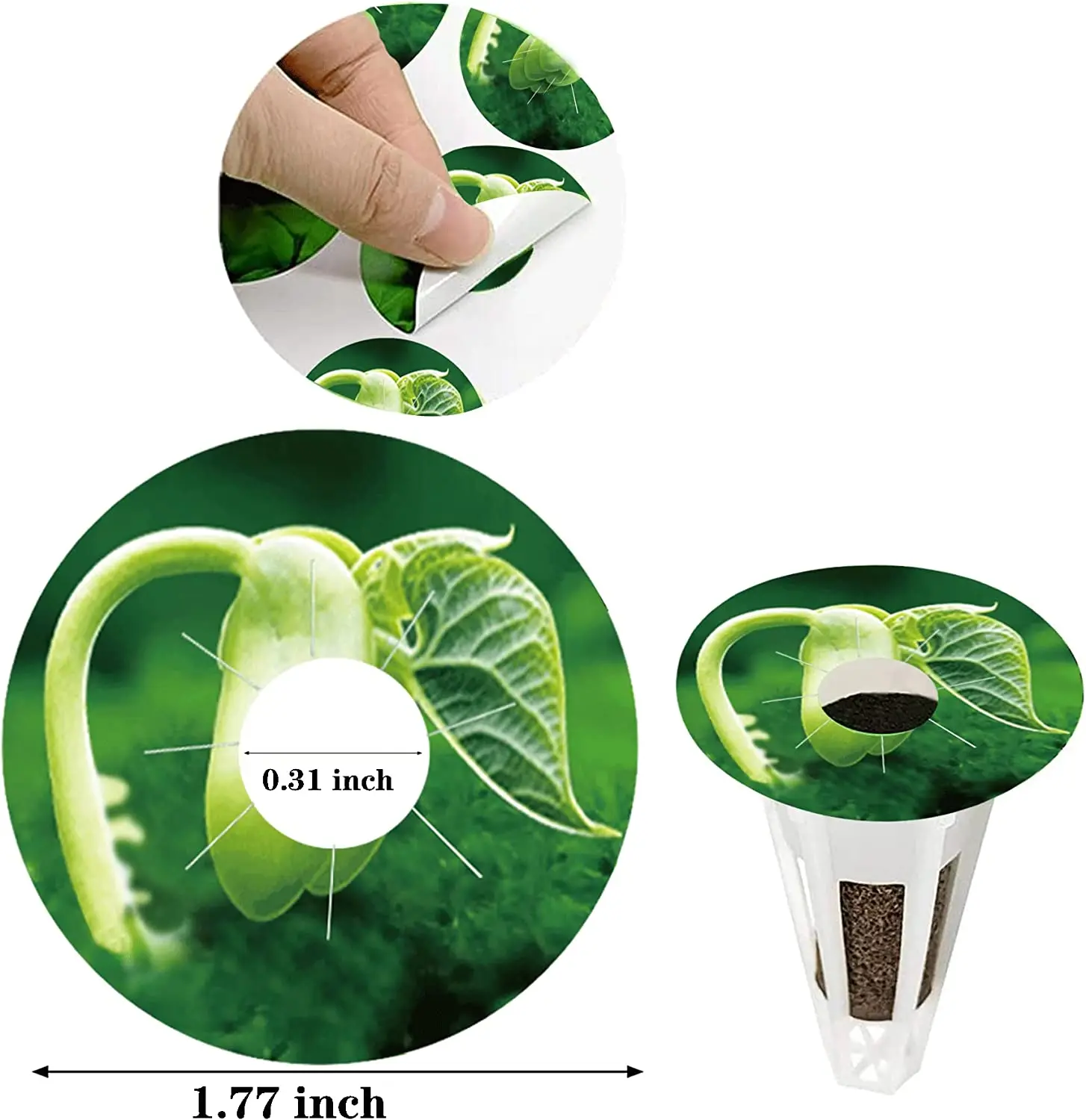 100 pz Anti-muschio vaso di semi L abels adesivi in PVC Peel and Stick etichette idroponiche ForAerogarden semi baccelli pianta da giardino Grow Basket