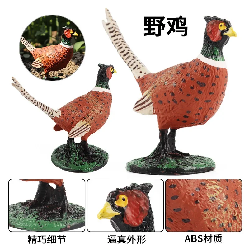 Poultry Colorful Brocade Chicken Duck Farm Animals for Children Ornament Pheasant Animal Montessori Education Plastic Toys Model