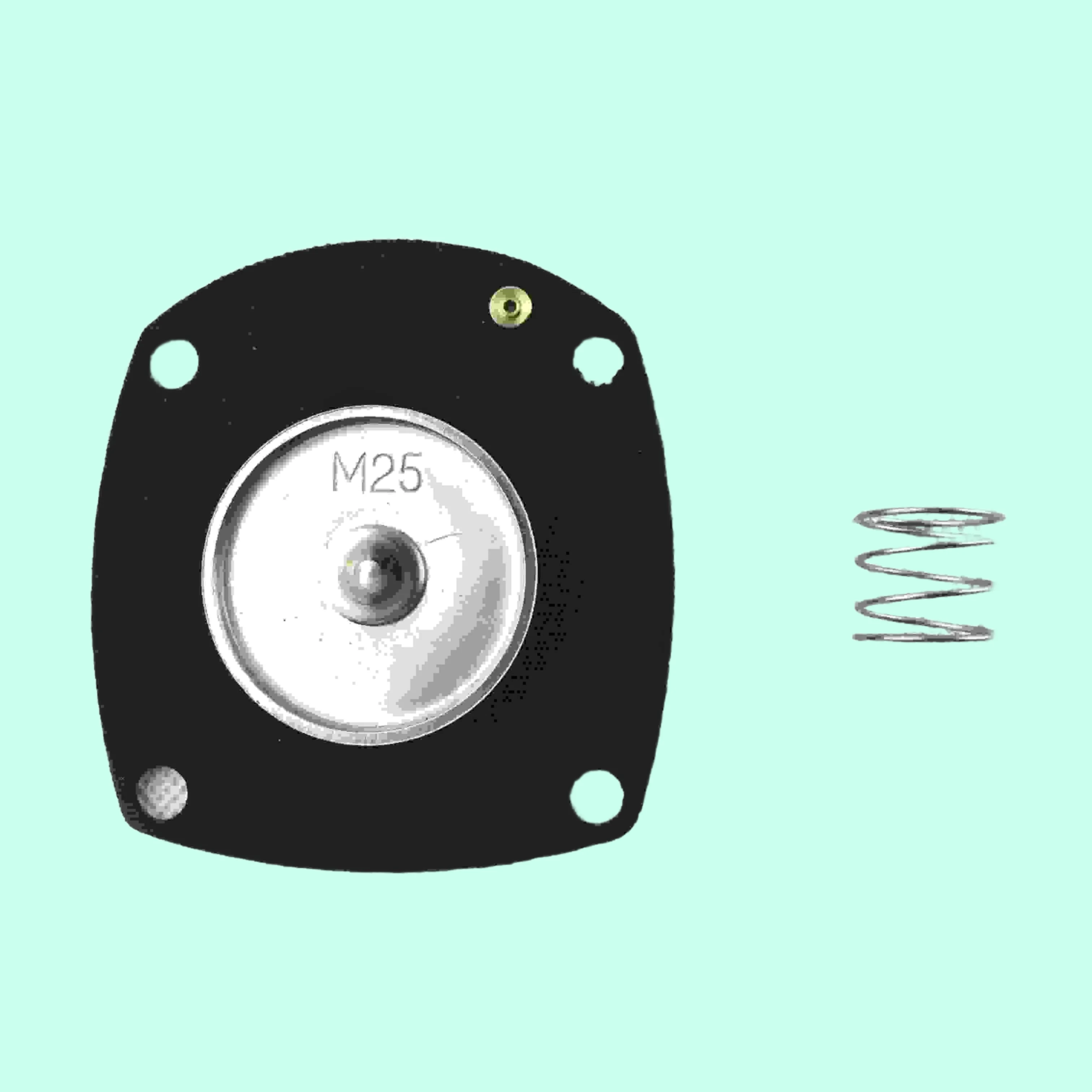 Turbo M25 Diaphragm… - image