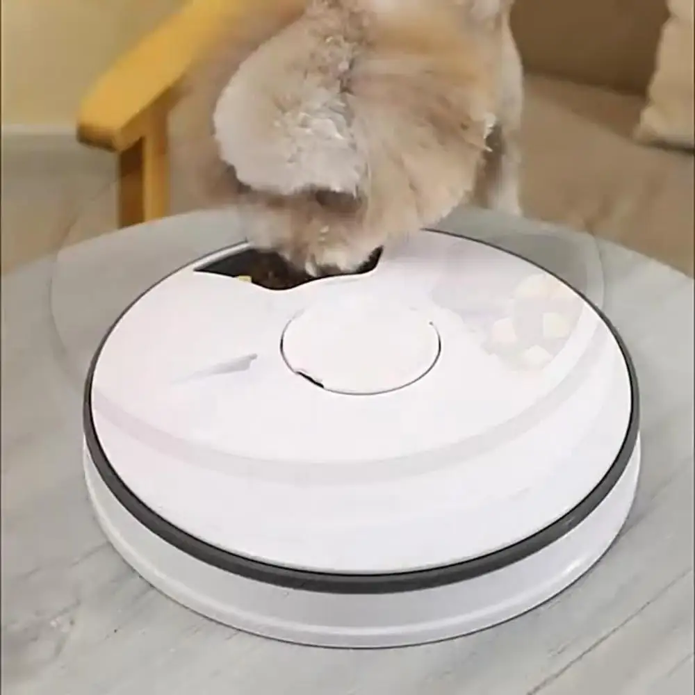 

Cross Border Hot Sale 6 Compartment Pet Feeder Timer Smart Dog Cat Food Bowl