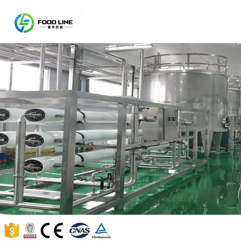 Customized Mineral Water Production Line, Ozone Generator in Water Treatment System, Reverse Osmosis Plant, Water Purification