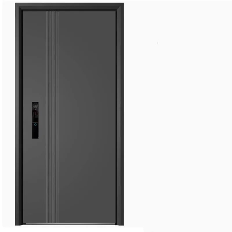 Porte extérieure brodée sur mesure, entrée principale, serrure à empreintes digitales, porte intérieure de chambre publique, meubles de maison actuels