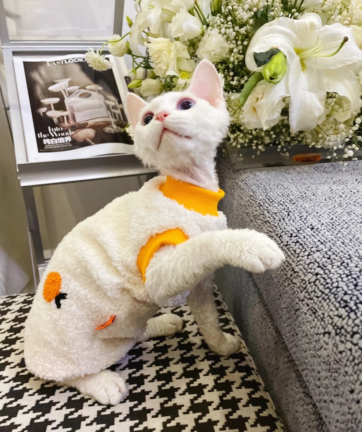 Soft Cozy Cat Clothes Autumn Winter Warm Fleece Sweatshirt for Devon Rex Puppy Kitten Jacket Coat Pet Sphynx Costume Sweater