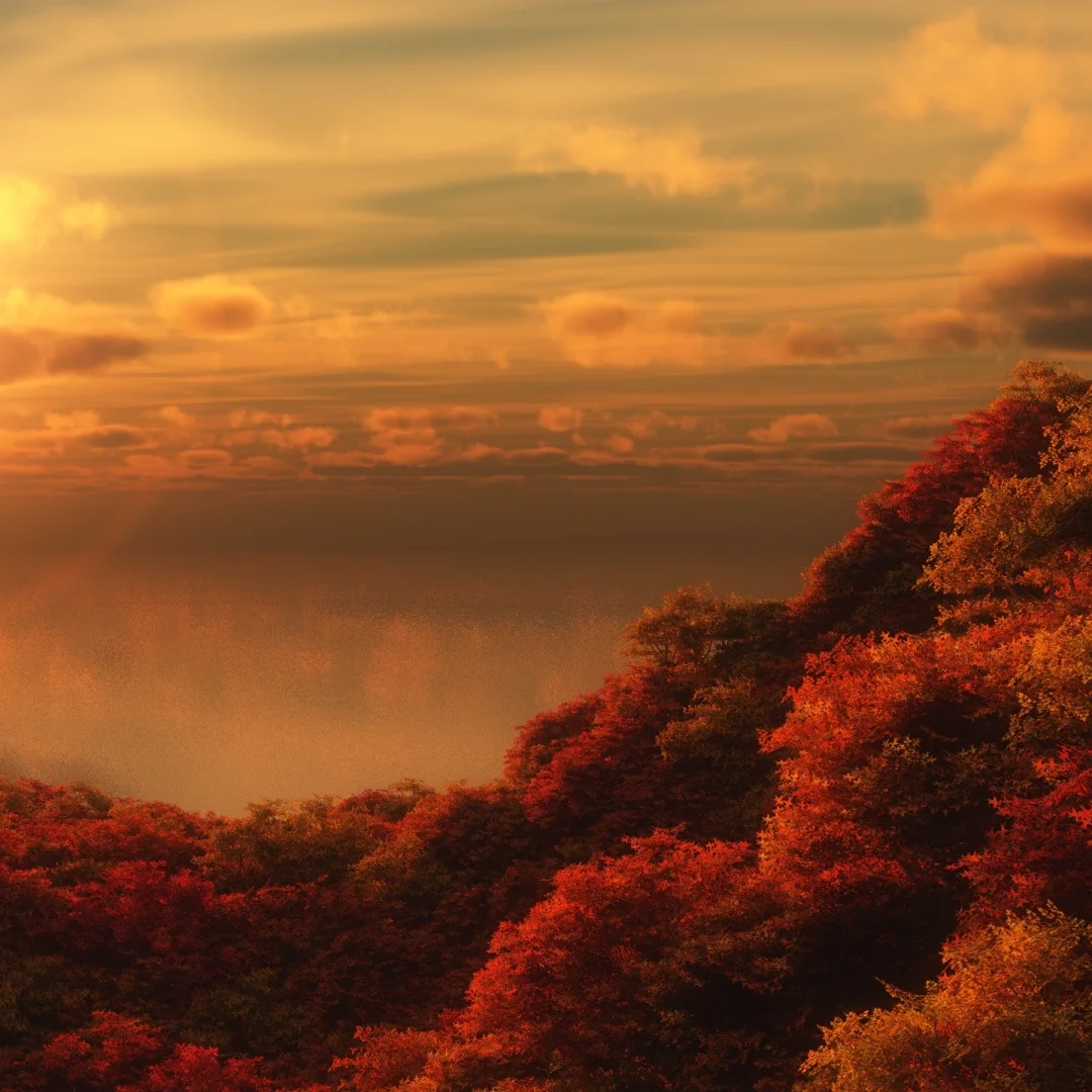 L Carplay Radio Aud…