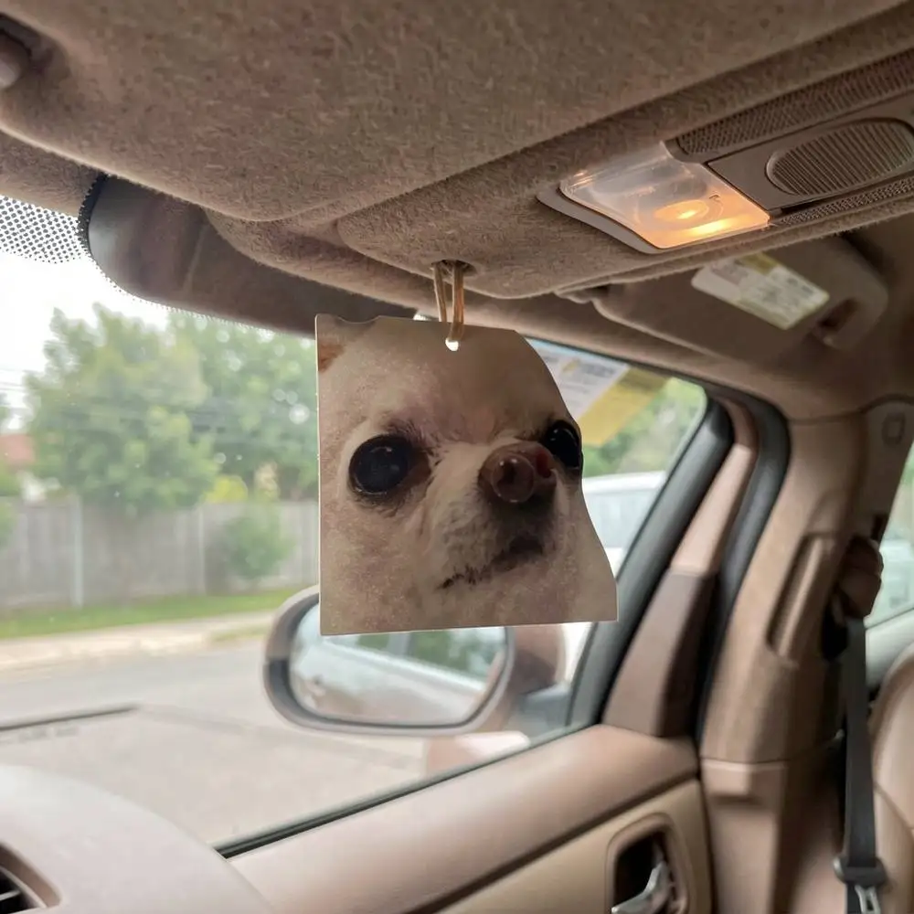 Automotive Air Freshener Provides Long Lasting Fragrance For Car Interior And Comfort