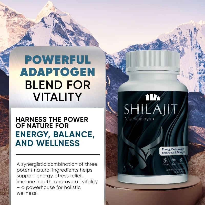 

Конфеты Shilajit со вкусом черники на 60 штук для мужчин и женщин — питательная добавка для 85+ минералов следов