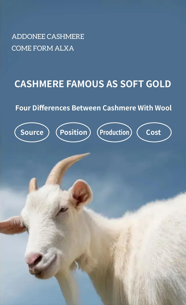 ADDONEE Postage Shipping Cost