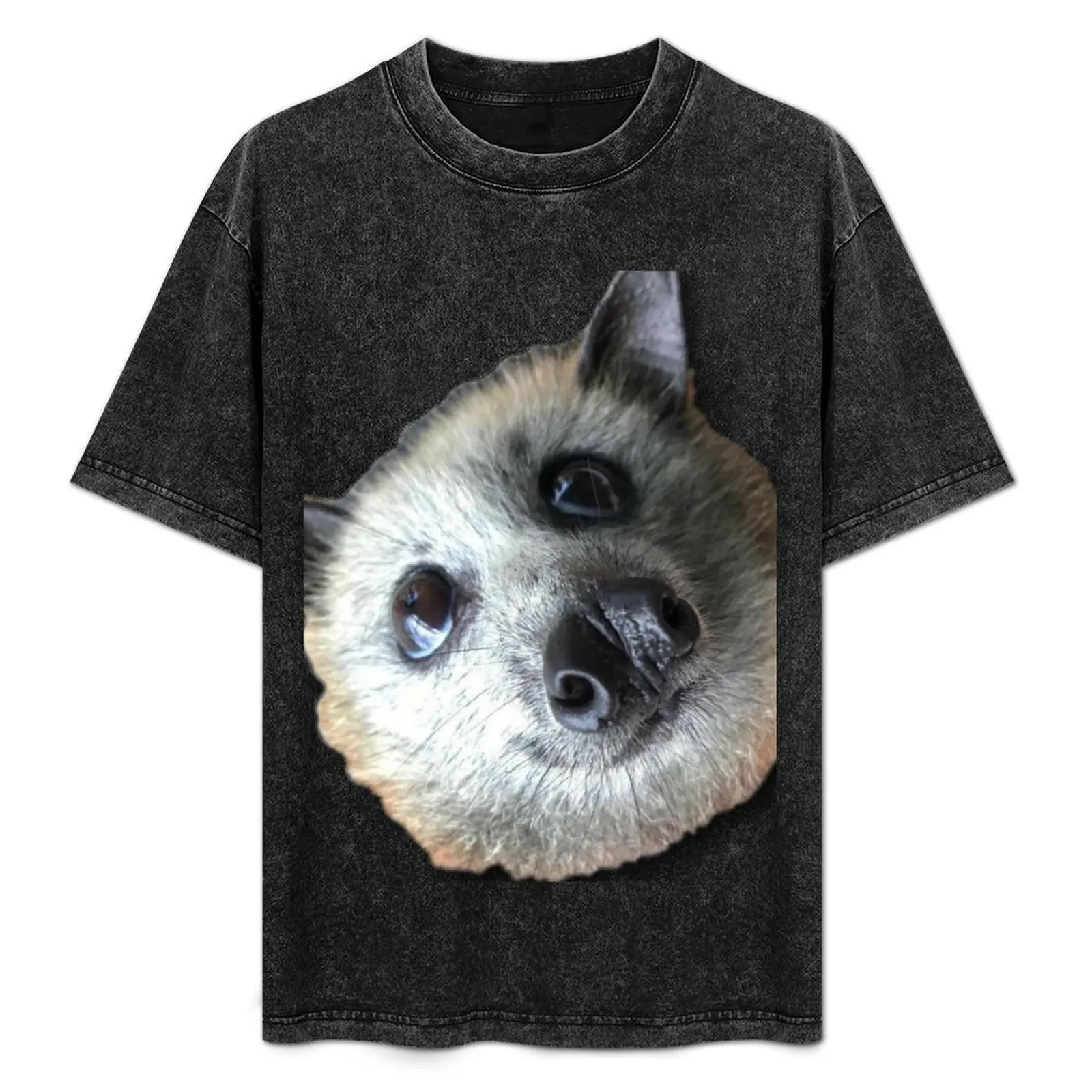 Atractivo murciélago volador de cabeza gris, Sinbad. Camiseta Resistente para Trabajo Casual