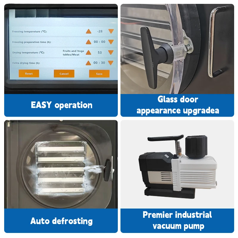 사용하기 쉬운 고효율 건조 소형 가정용 동결건조기 에너지 절약 식품 가공 채소 식품