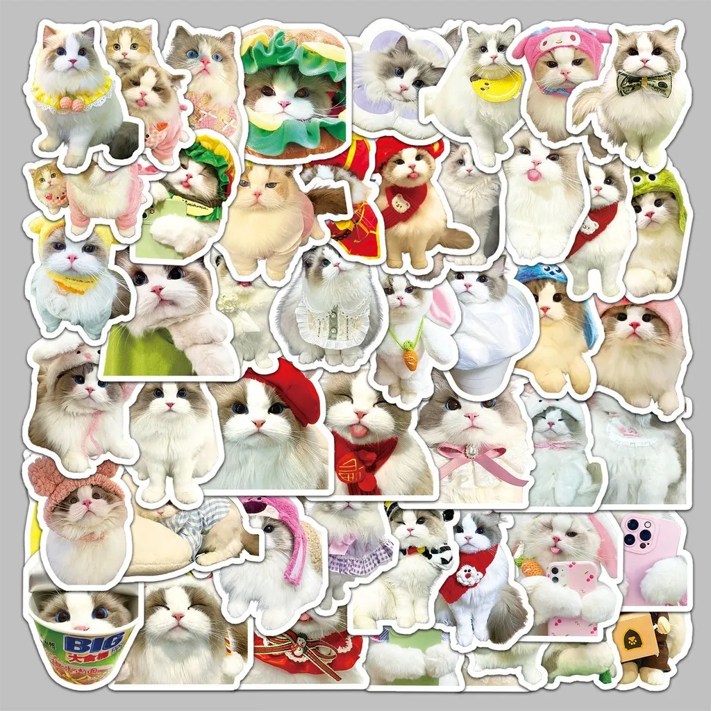 50 szt. naklejek z kotami Ragdoll - urocze, kreskówkowe dekoracje dla zwierząt na butelkę z wodą/laptop - wodoodporne, sklep RecordingYourLife