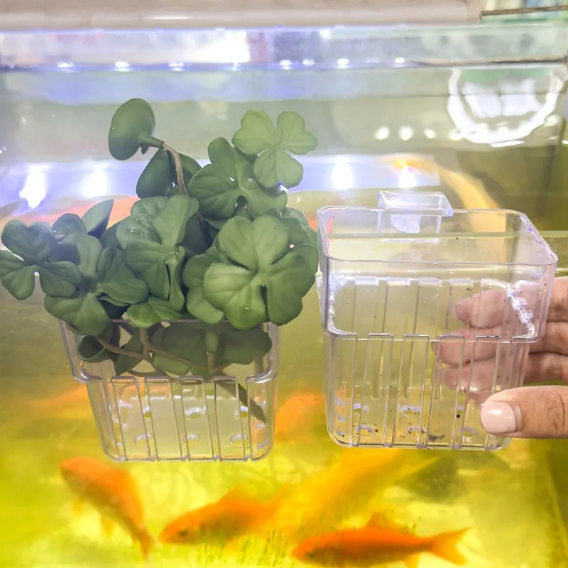 1/5pcs Aquarium Decoration Plant Cup Transparent Fish Tanks Hanging Decorations Box Pot Waterweed Cup Fish Tanks Decor Planter