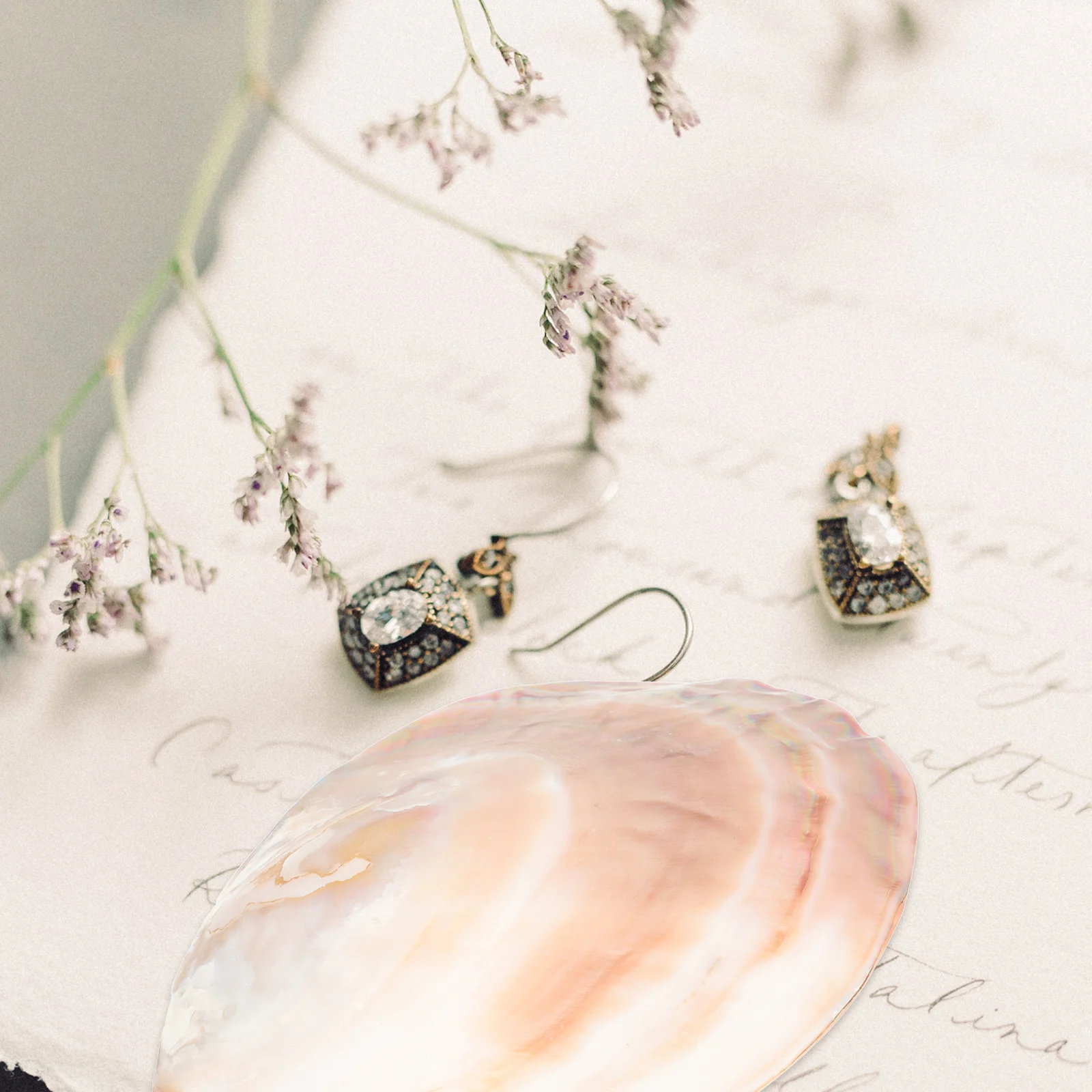 1 قطعة قذيفة الطبيعية الديكور محارة الغذاء لوحة مكشطة المجلس للمنزل مكتب مقهى ديكور الإبداعية فريدة من نوعها صينية تقديم #4