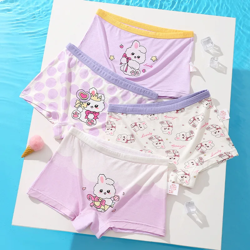 

Kids Modal Antibacterial Knickers 3+y Young Child Underwear Summer Thin Mesh Breathable Panties for Girls Cute Print Briefs 4PCS