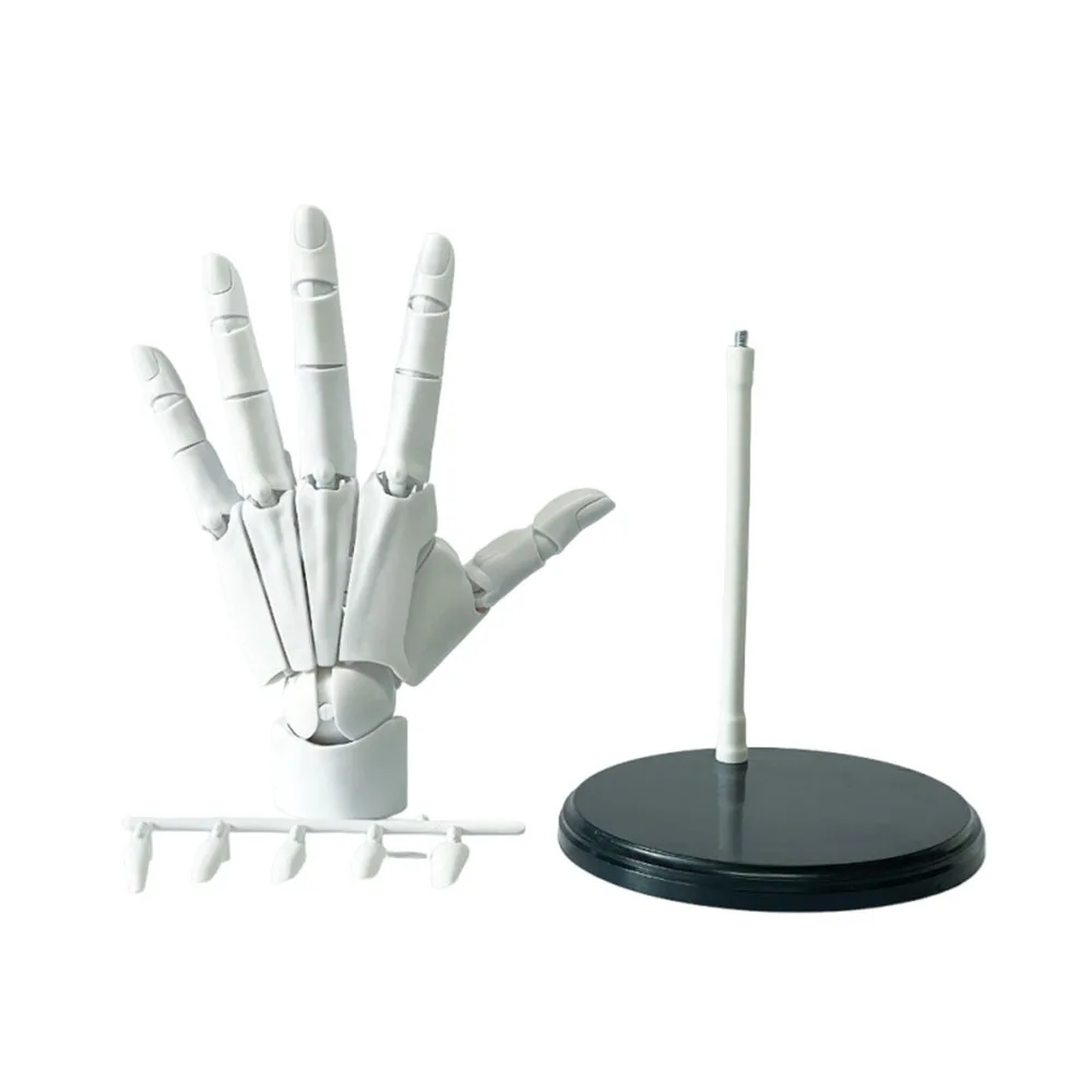 Left/Right Articulated Hand Model Adjustable Flexible Hand Finger Joint Figurine Poseable Hand Finger Joint Figurine