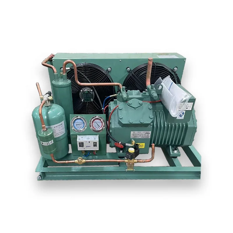 

Холодильные детали Запасное холодильное оборудование Конденсационный блок с компрессором 3 л.с. для холодной комнаты