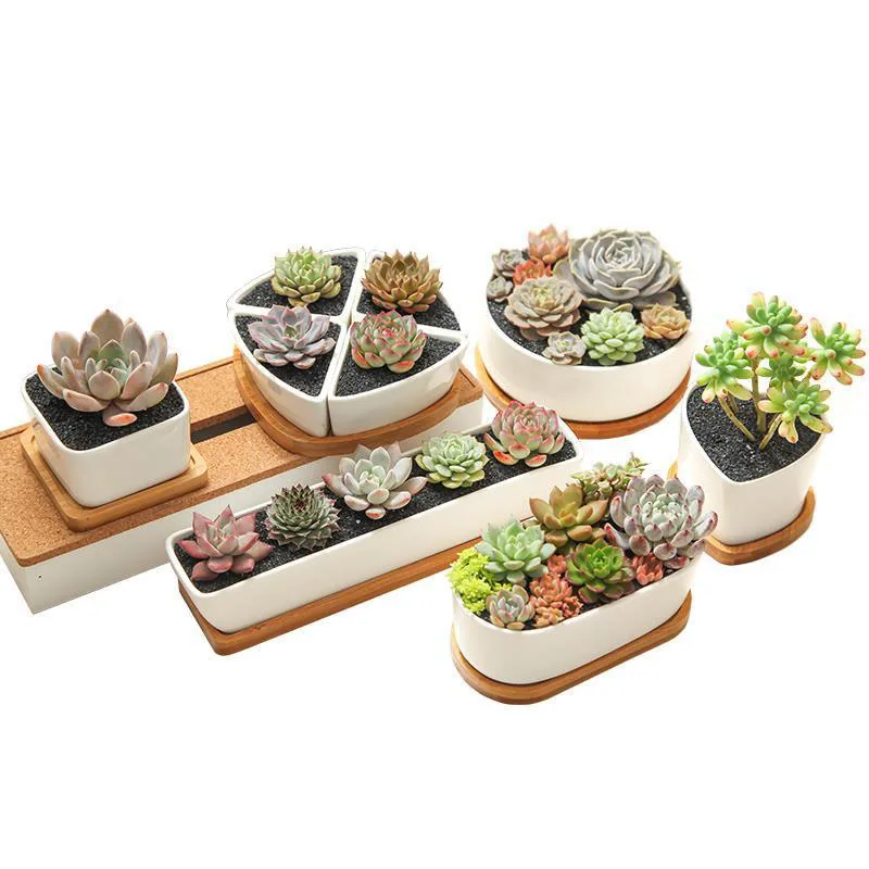 

Wholesale White Porcelain Mini Ceramic Flower Pot Sets Fairy Garden Decoration Bonsai Planter Home Office Plants