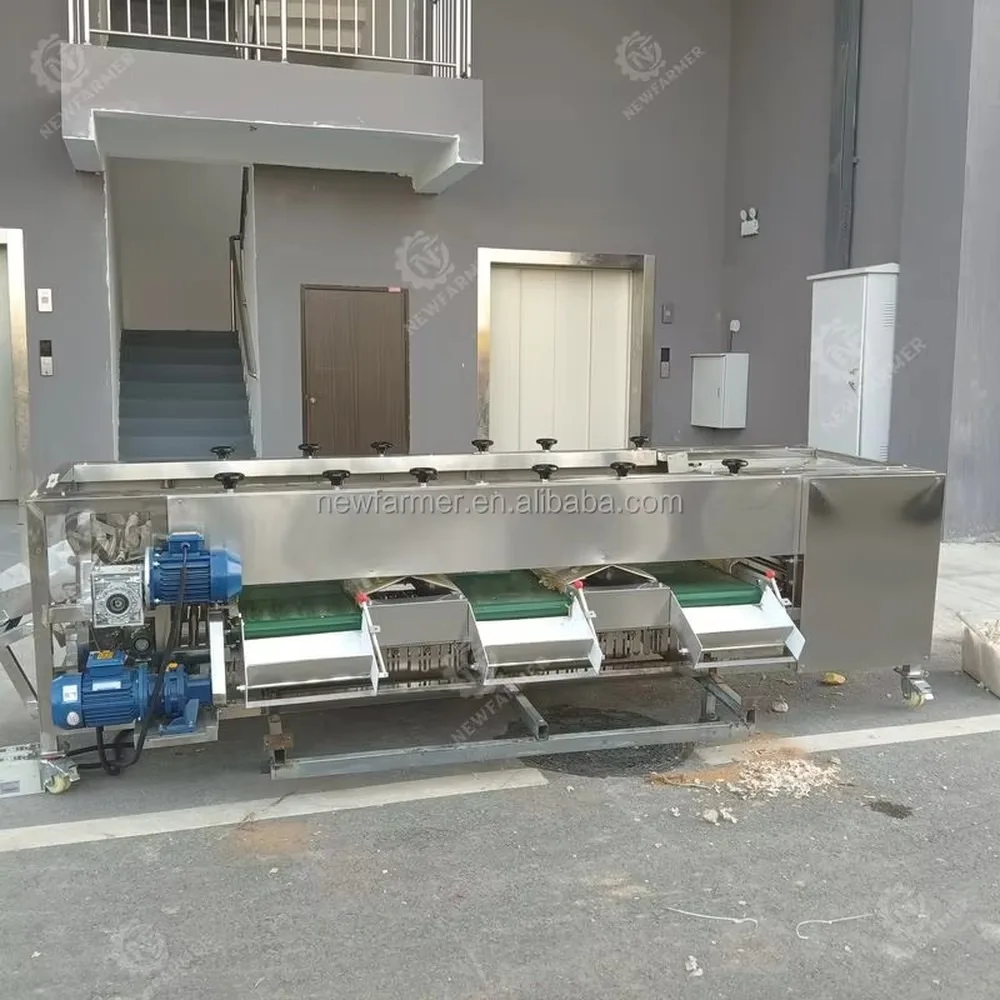 Industrial Fruit Vegetable Grading Sorting Machine Stainless Steel Electric 220V/380V 1.5KW Multifunctional Sorter for