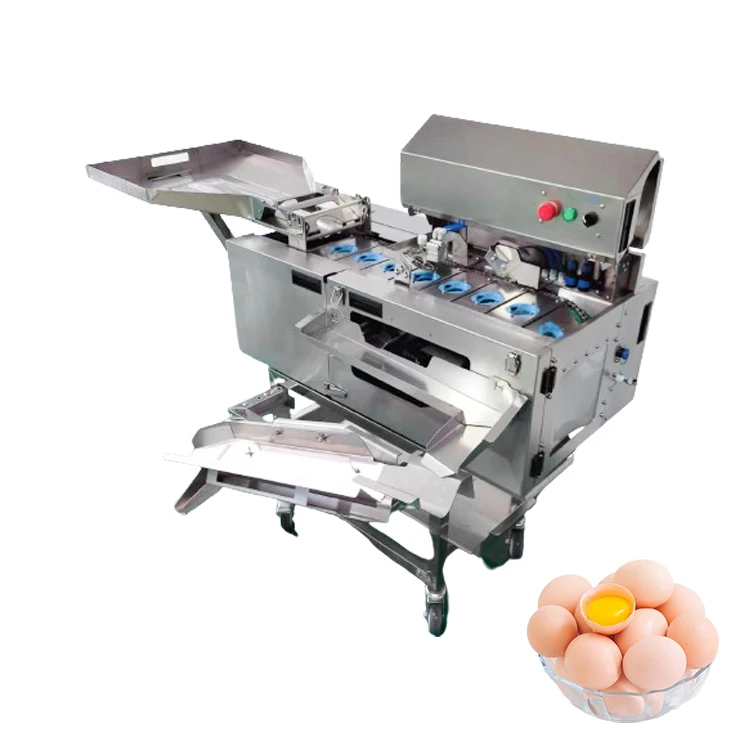 Bild 6: Eierschläger Eierschläger Elektrischer Mixer Eierschläger