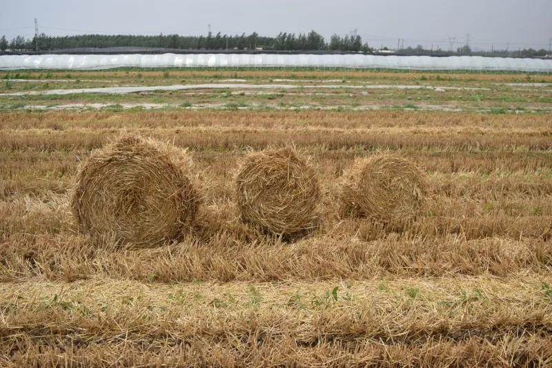 High Quality Grass Mini Roll Baler Machine 850
