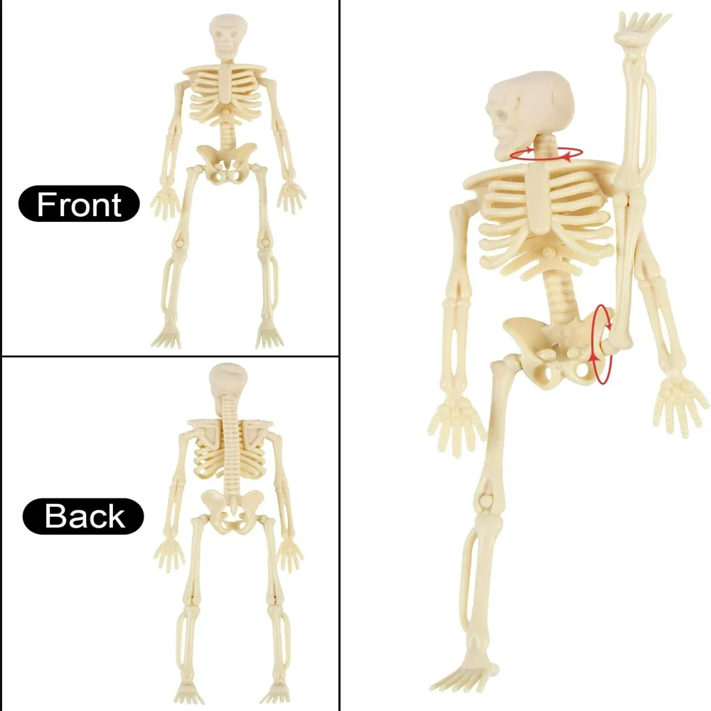 6/12 قطعة تماثيل الهيكل العظمي الصغيرة الهياكل العظمية الصغيرة زينة الهالوين للحرف اليدوية ملحقات المنزل المسكون هدايا الحفلات 6 بوصة #6