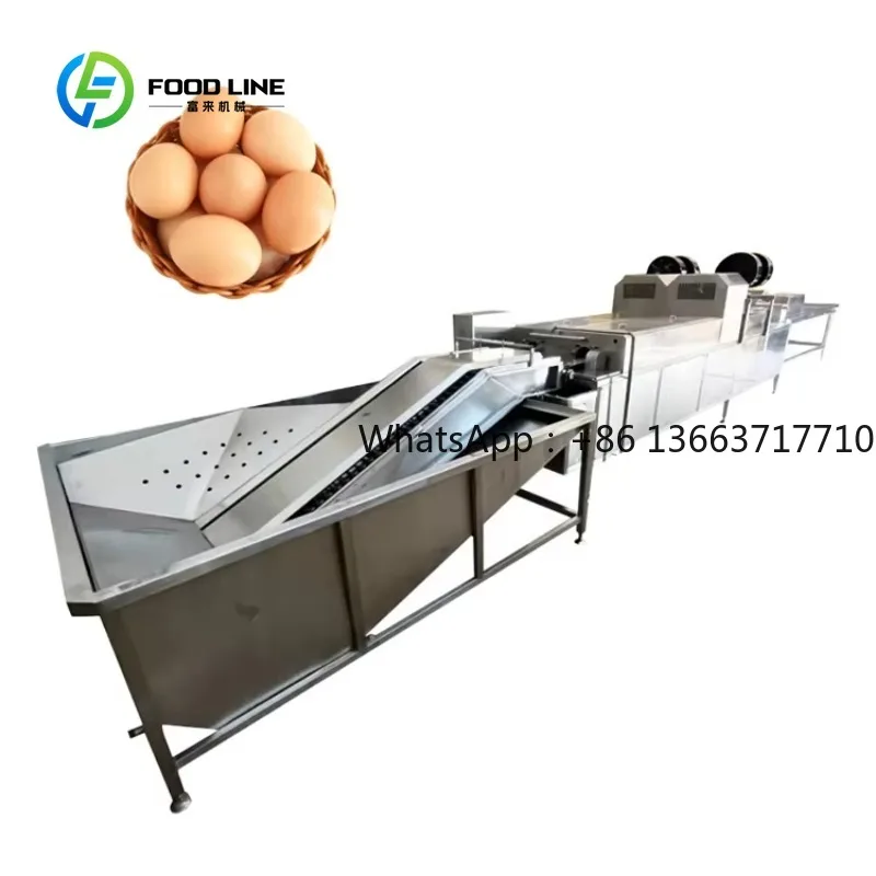 Industrial Egg Washing Equipment Customized, Stainless Steel High Efficiency Egg Washer Machine for Poultry Farm