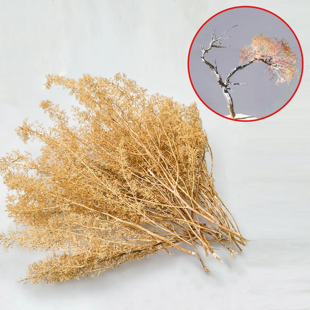 Modelo de hierba seca en miniatura, árboles de quinua potenciosos, materiales de escena DIY para mesa de arena militar, tren ferroviario, Kits de Diorama de paisaje Lan