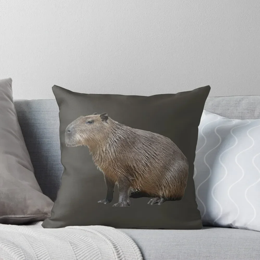 

5th Snarky Smiling Happy Single Capybara Stickers Package. Funny Capybaras For Every Capybara Lover Or Other Rodent Throw Pillow