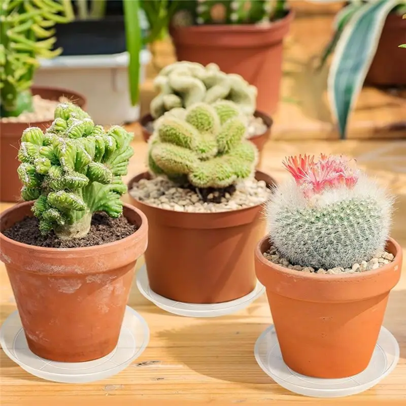 BAAG-30 Pack Plant Suacer 14Cm Plant Drip Trays For Pots Clear Plant Pot Trays Water-Repellent Plant Saucers For Gardens