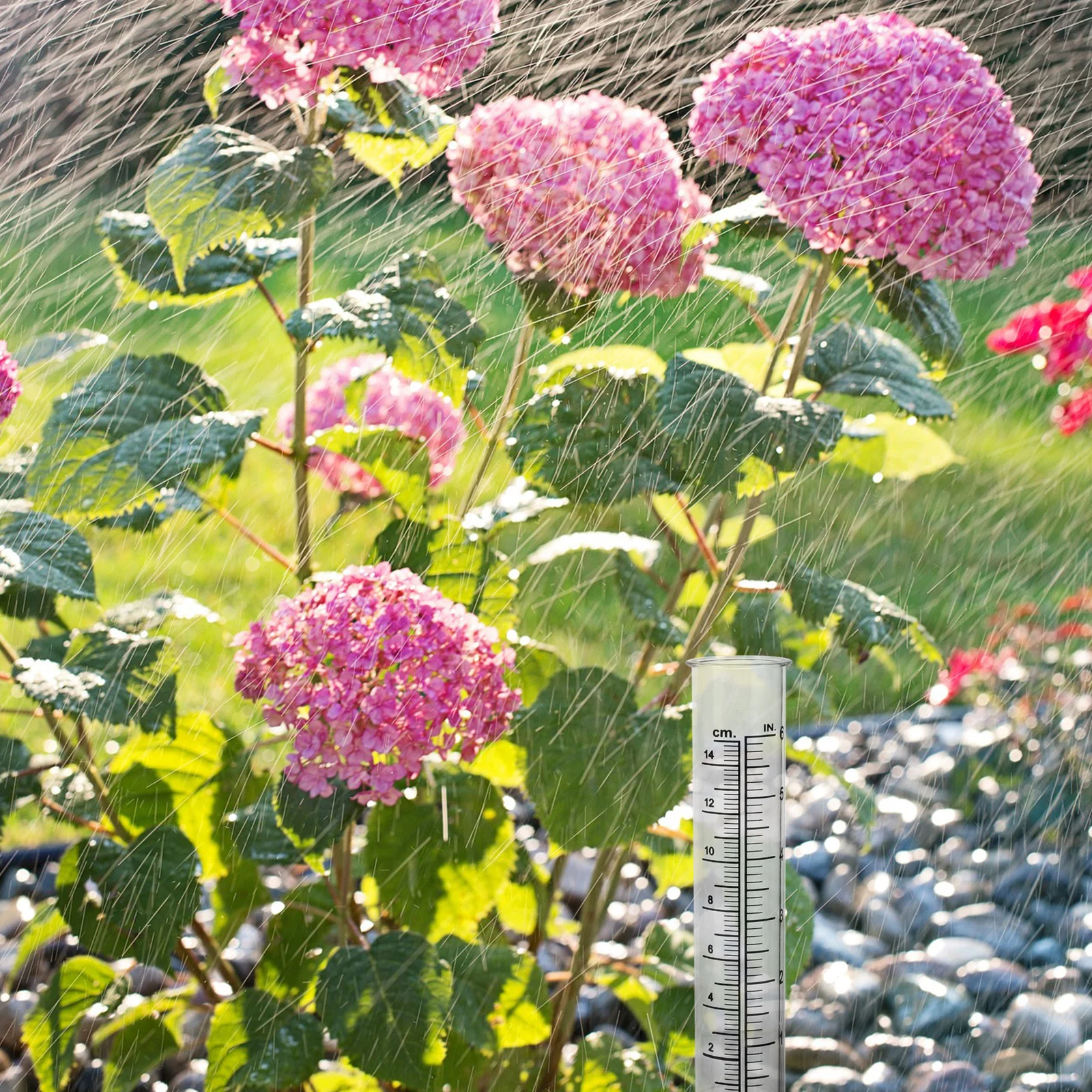 

2Pcs Rain Gauge Transparent Plastic Measuring Tube for Garden Lawn Farming Outdoor Weather Station Home Use Clear Scale