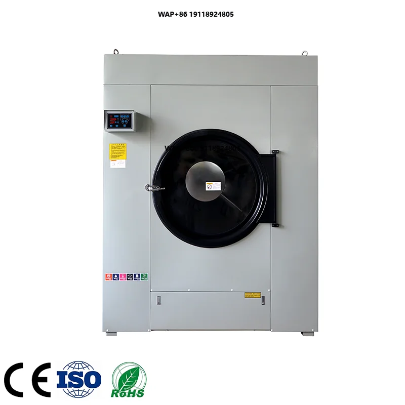 Smart Washing Machine with Dryer and Iron
